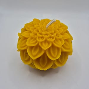 100-1.webp Bičių vaško žvakė „Karališka chrizantema“