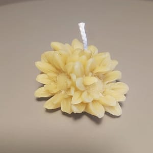 14 Bičių vaško žvakė „Ramunės žiedai“