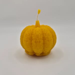 16-1.webp Bičių vaško žvakė „Moliūgas vidutinis“