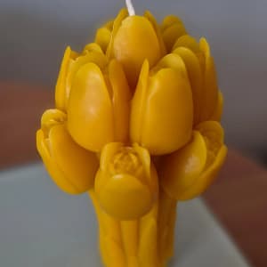 26 Bičių vaško žvakė „Tulpių šokis“