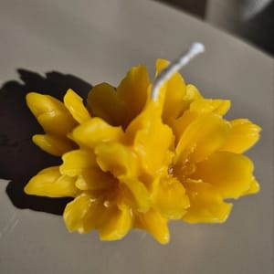 37 Bičių vaško žvakė „Saulėta plukė“