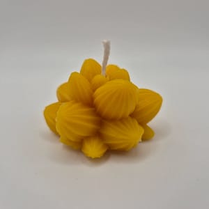 45 Bičių vaško žvakė „Sukulentų puokštė“