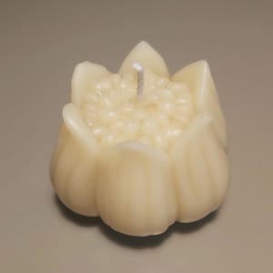 7 Bičių vaško žvakė „Švelnus pumpuras“