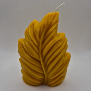 80 Bičių vaško žvakė „Auksinis lapas“