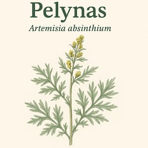 Pelynas Pelynas