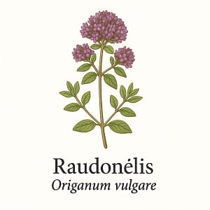 Raudonelis Raudonėlis