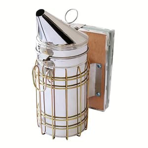 dumine1 biciu dumine