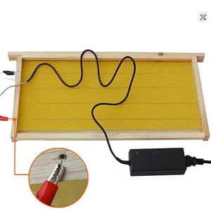 ivaskavimo koriu ivaskavimas