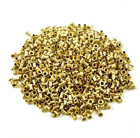 aseles biciu remeliu aseles