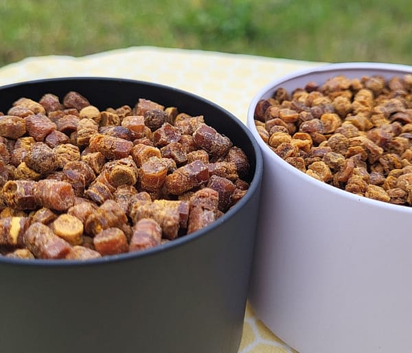 biciu duona biciu duona biciu duonele