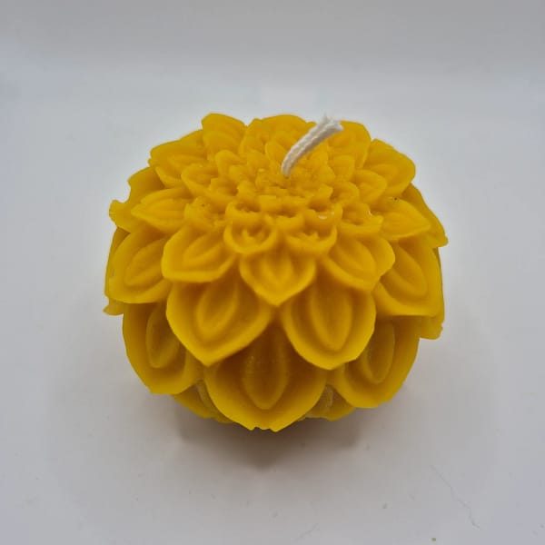 100-1.webp Bičių vaško žvakė „Karališka chrizantema“