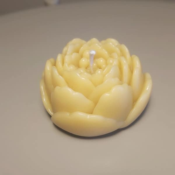 13 Bičių vaško žvakė „Sutemų žiedas“