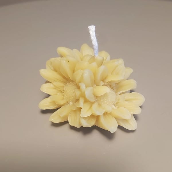 14 Bičių vaško žvakė „Ramunės žiedai“