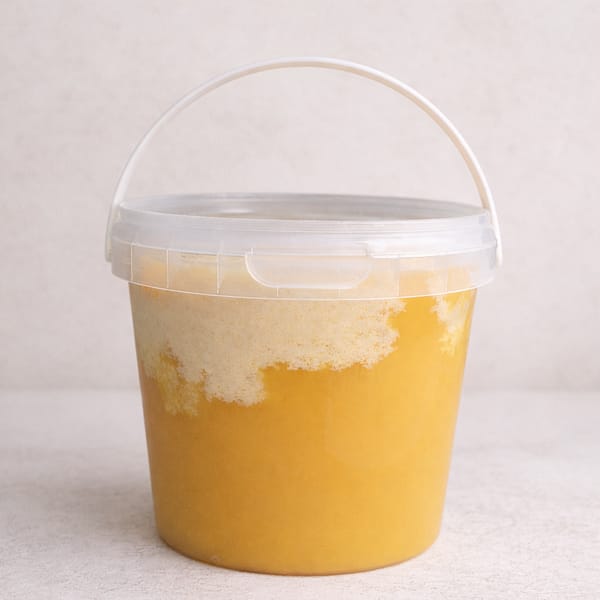 ChatGPT Image Feb 12, 2026, 12_17_23 PM uv medus