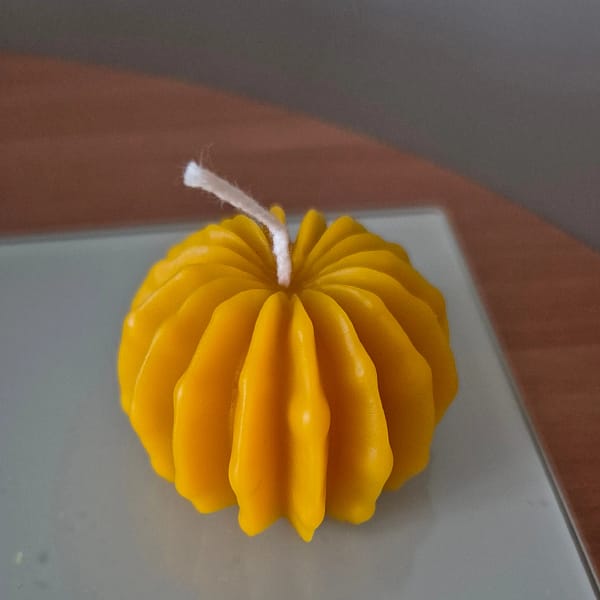 27 Bičių vaško žvakė „Mini kaktusas“