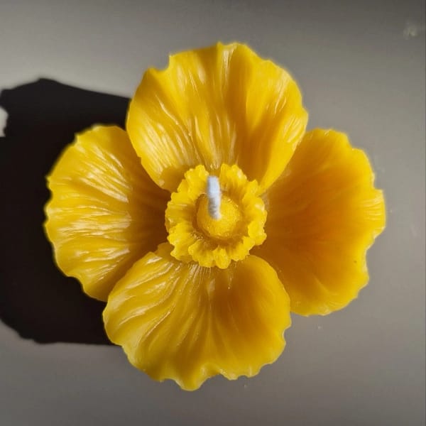 36 Bičių vaško žvakė „Aguona“