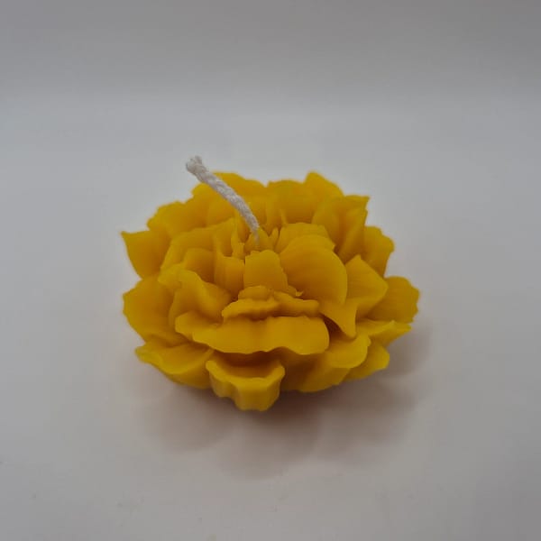 44 Bičių vaško žvakė „Pilnaviduris žiedas“