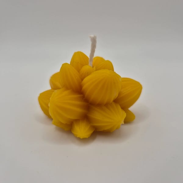 45 Bičių vaško žvakė „Sukulentų puokštė“