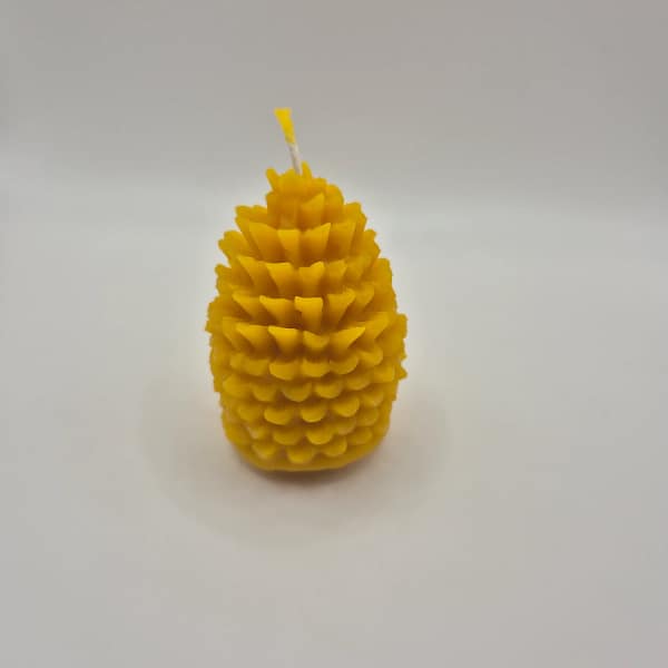 70-1.webp Bičių vaško žvakė „Kankorėžis“