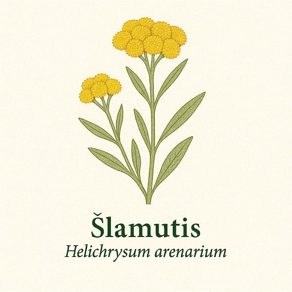 Slamutis Šlamutis