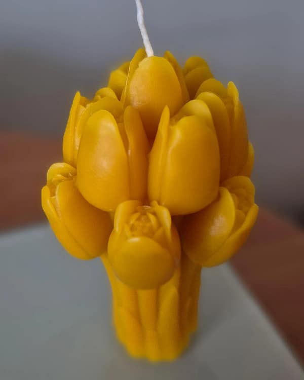 26 Bičių vaško žvakė „Tulpių šokis“