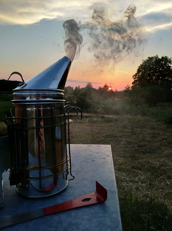 62397027_352712315435078_3234547215011676160_n-YD0v4kjx8liRLpXp Edukacija apie bites ir žvakes